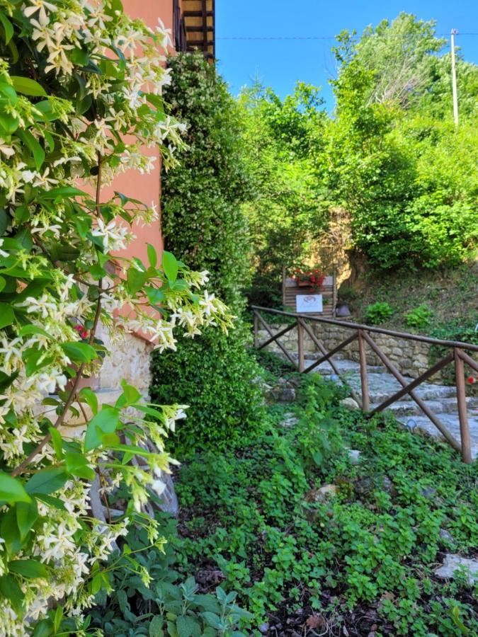 B&B L'Usignolo Ascoli Piceno Exterior foto