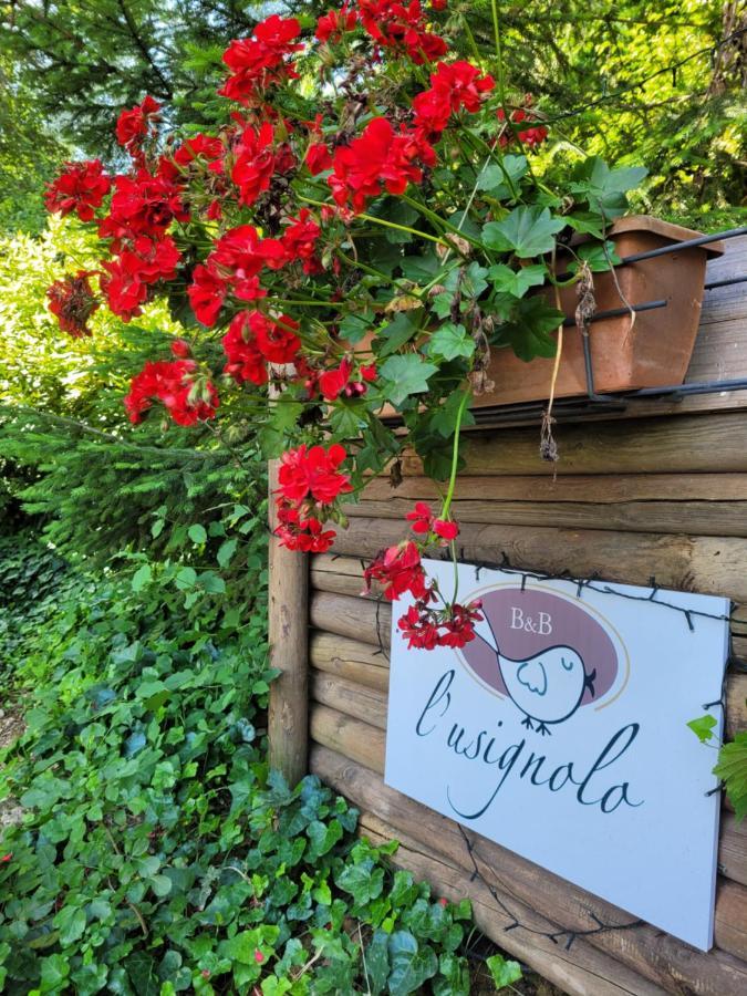 B&B L'Usignolo Ascoli Piceno Exterior foto